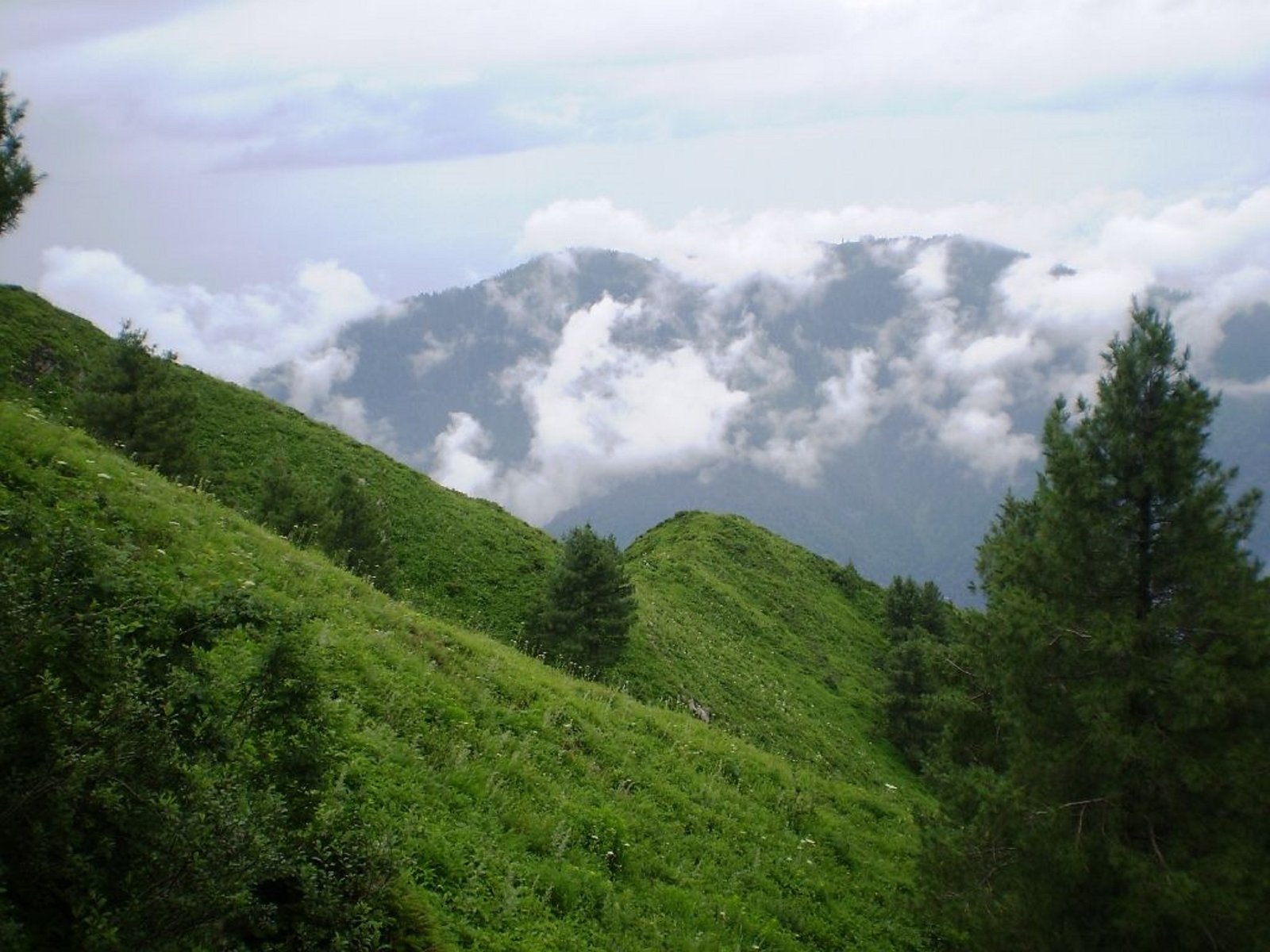 Галить. Pakistan Nathia gali. Nathiagali is a Hill Station and Mountain Resort Town located in the Abbottabad District of Khyber Pakhtunkhwa, Pakistan. Galyat.